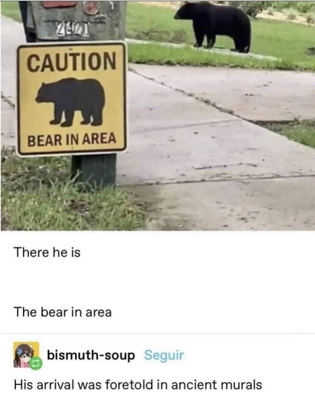 CAUTION BEAR IN AREA There he is The bear in area bismuth-soup Segui; His arrival was foretold in ancient murals