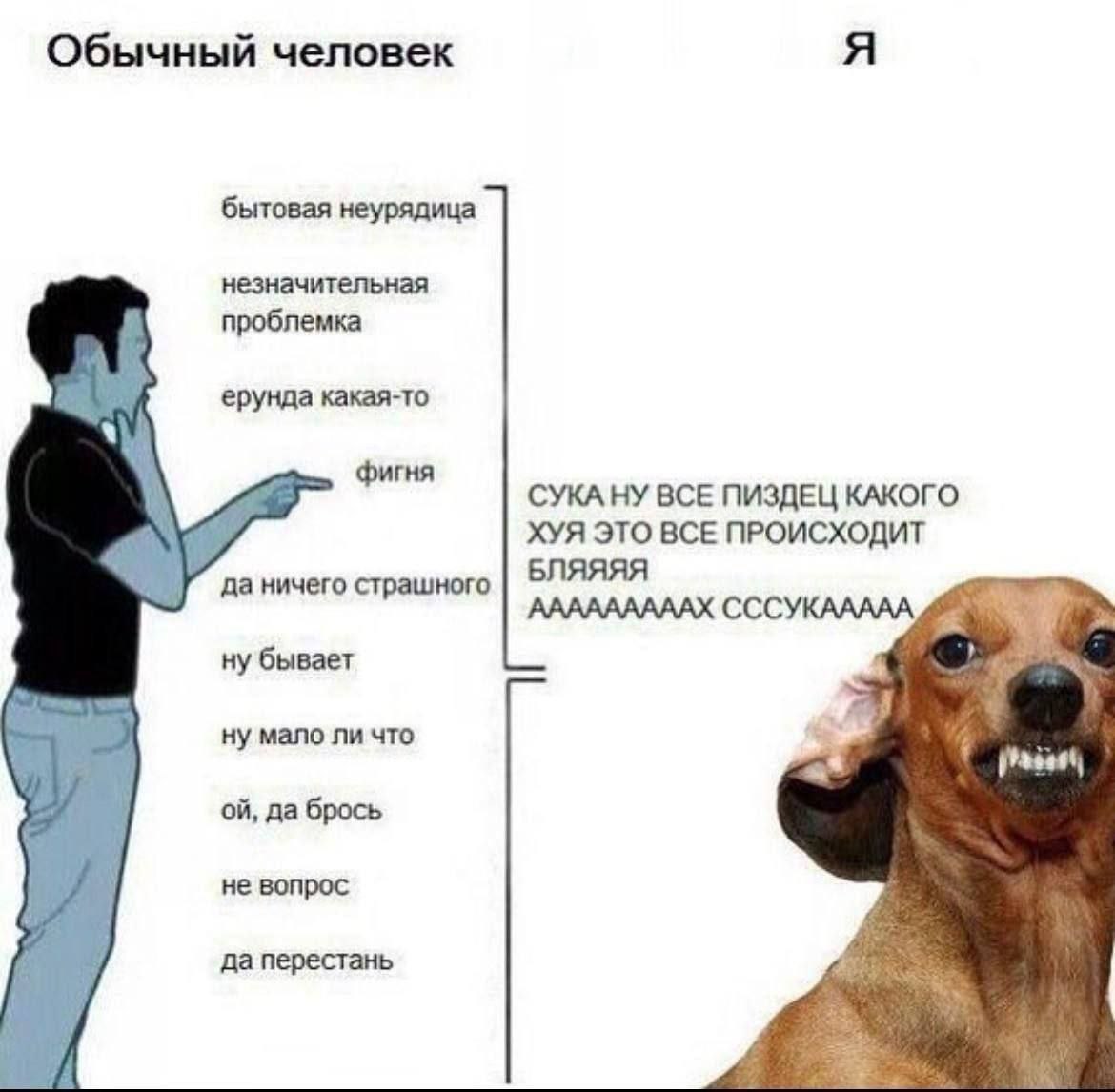 Обычный человек бытовая неурядица незначительная проблемка ерунда какая-то фигня СУКА НУ ВСЕ ПИЗДЕЦ КАКОГО ХУЯ ЭТО ВСЕ ПРОИСХОДИТ да ничего страшного БЛЯЯЯЯ АААААААААХ СССУКААААА ну бывает ну мало ли 