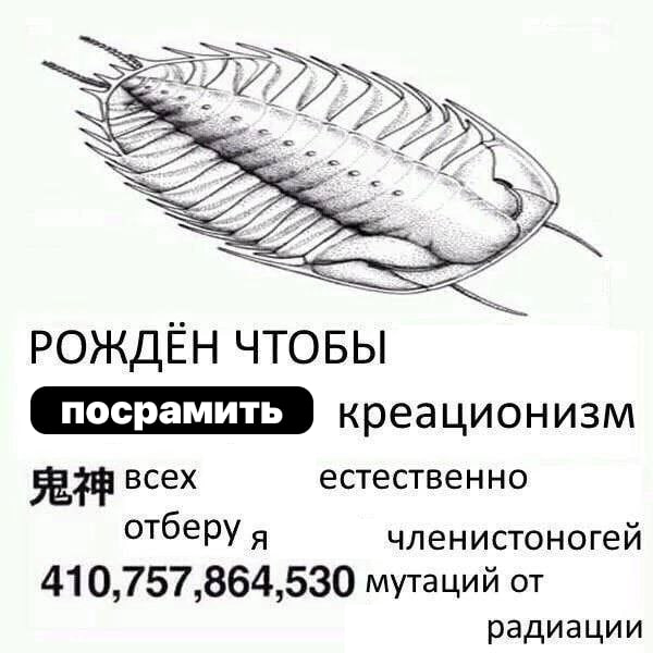 РОЖДЁН ЧТОБЫ креационизм всех естественно отберу я членистоногей 410,757,864,530 мутаций от радиации