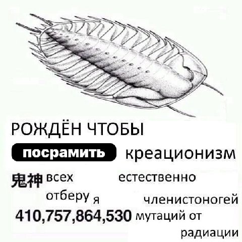 РОЖДЁН ЧТОБЫ креационизм всех естественно отберу я членистоногей 410,757,864,530 мутаций от радиации
