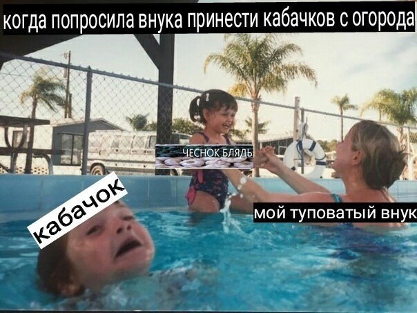 когда попросила внука принести кабачков с огорода 7 мои туповатыи внук