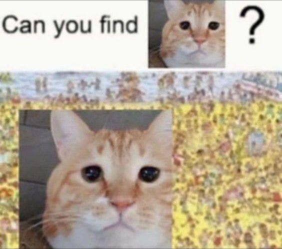 Can you find 3