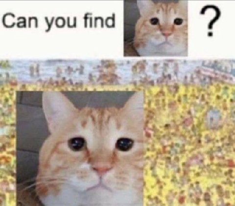 Can you find 3