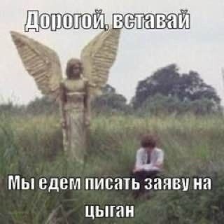 вставай Мыедемписать заявуна цыган