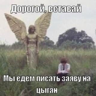 вставай Мыедемписать заявуна цыган