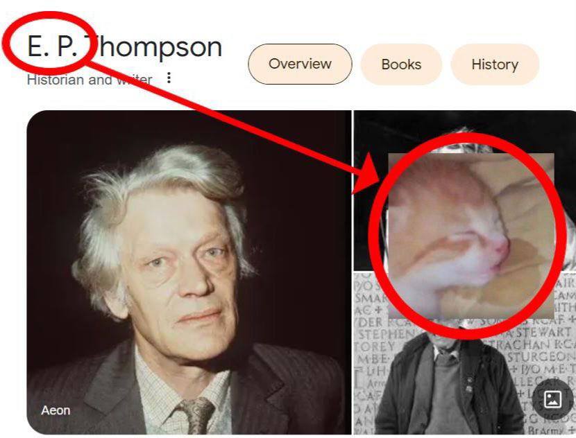 hompson у Overview Books History Historian and Wier 4 4 А О Aeon у 7.