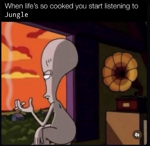 When so cooked you start listening to Jungle