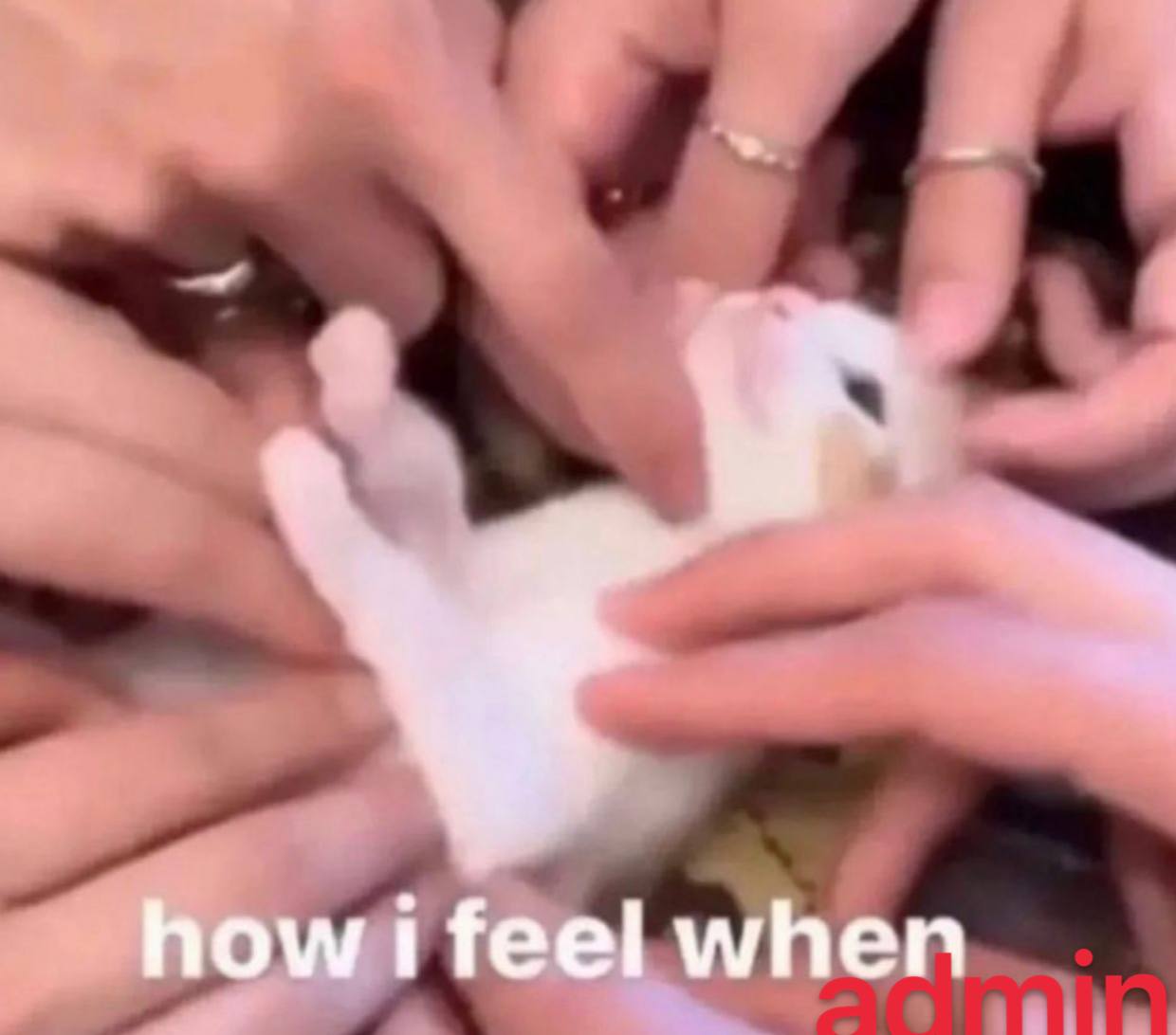 how i feel when