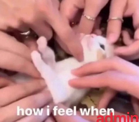 how i feel when