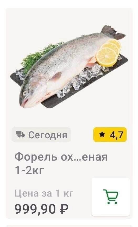 Me, Сегодня 47 Форель ох...еная Цена за 1 о 999,90
