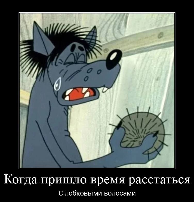 и Когда пришло время расстаться С лобковыми волосами