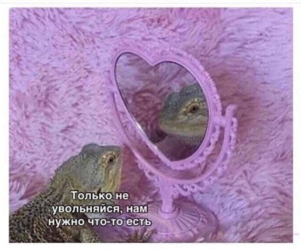 Только не увольняися, нам нужно что-то есть