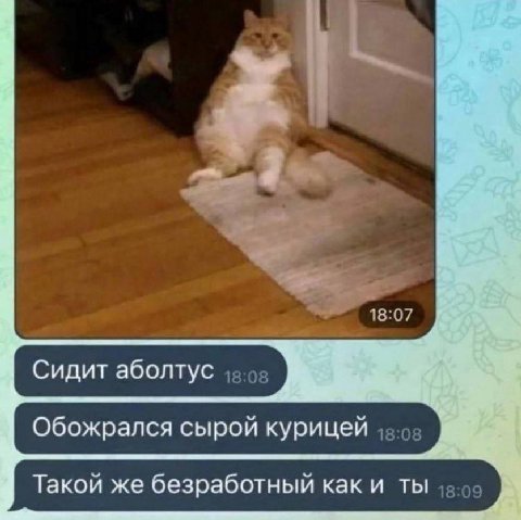 Сидит аболтус Обожрался сырой курицей Такой же безработный как и ты