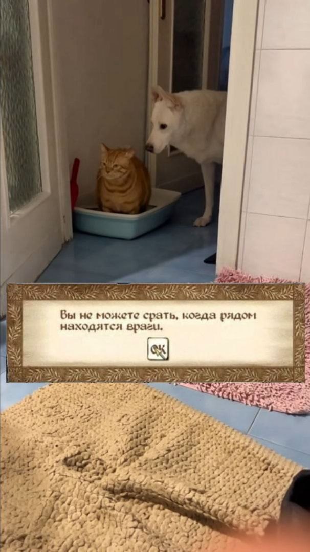 a i a Вы He гюжете срать, когда рядом находятся враги.