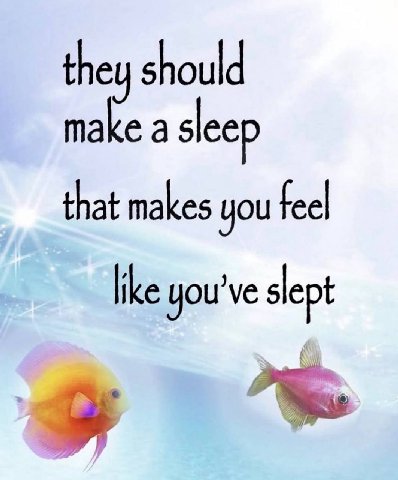 they should а sleep that makes you like you slept