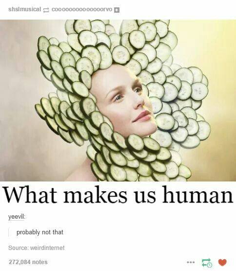 What mak man yeevil probably