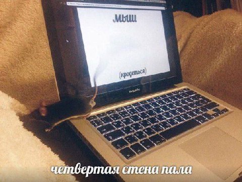 тая стена пала