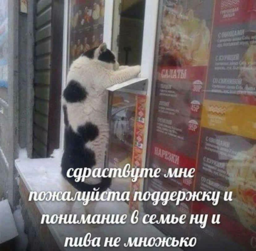 i сдрастдуте мне пожалуиста поддержку и понимание 6 семье пива не множько