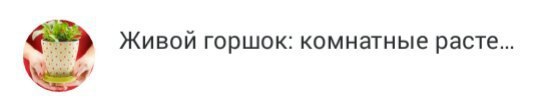 Живой горшок: комнатные расте...