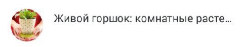 Живой горшок: комнатные расте...