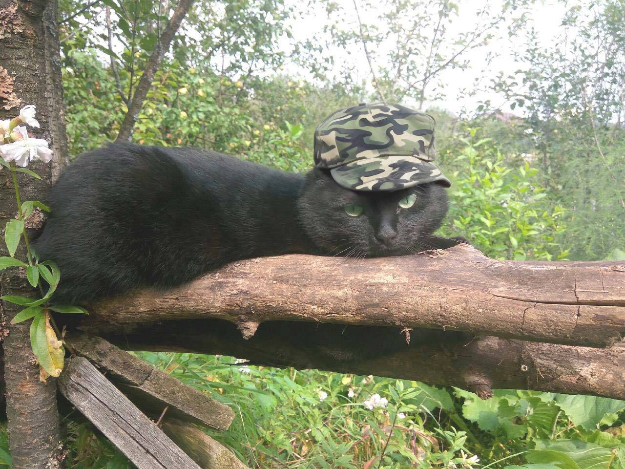 Ты чего уголек….