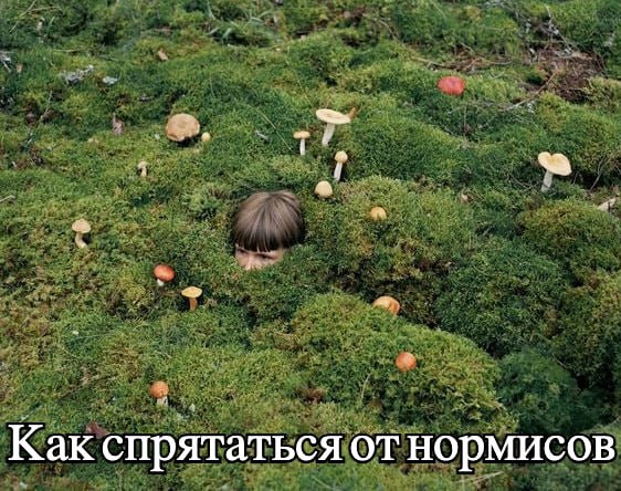 а у Как спрятаться от нормисов