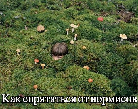 а у Как спрятаться от нормисов