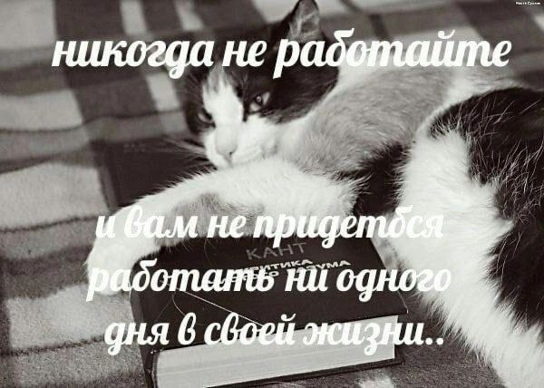никогда не радфтайте не НИ дня 6 жизни