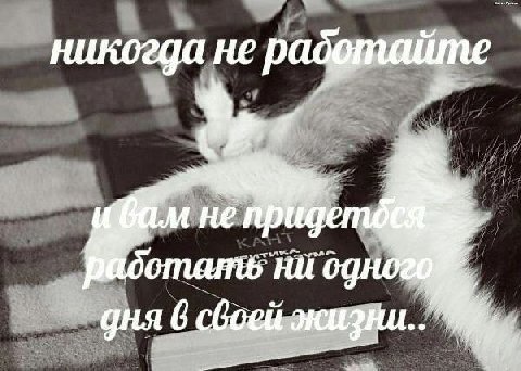 никогда не радфтайте не НИ дня 6 жизни