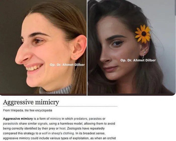 7 Ahmet Dilber Dilber Aggressive mimicry From Wikipedia. the free encyclopedia Aggressive mimicry is a form of mimicry in which predators, parasites or parasitoids share similar signals, using a harml