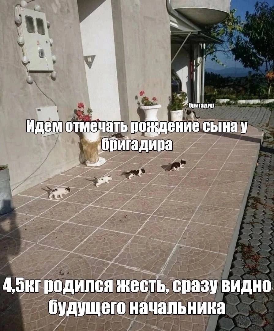 у Я Идем отмечать рождение сынау к 7 и жесть, сразу видно будущего начальника