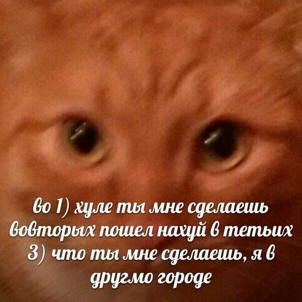 1) хуле ты мне сделаешь вбобторых пошел нахуй 6 тетьих 3) что ты мне сделаешь, я 6 другмо городе