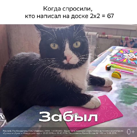 Таблица умножения изучена на 6️⃣7️⃣%

А вот с детской СберКартой всё проще 😎 За школьные товары — тетради, ручки, карандаши, рюкзаки и канцтовары — по детской СберКарте и Совместному счёту можно получ