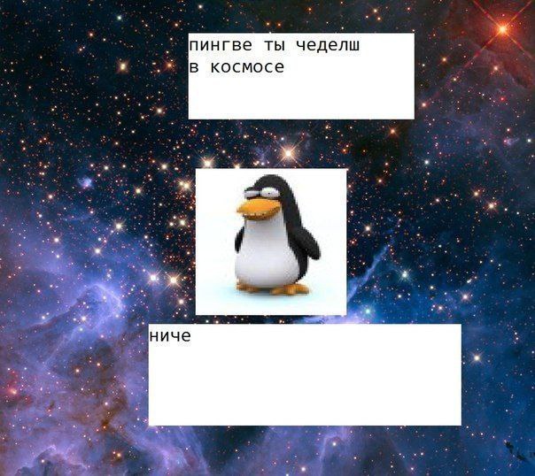 пингве ты чеделш космосе ниче