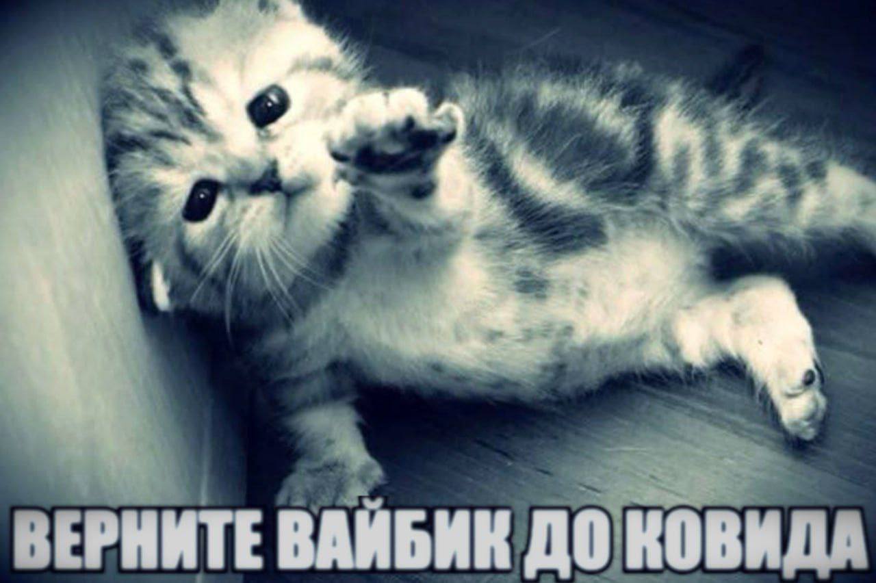 7 ВЕРНИТЕ ВАЙБИК ДО КОВИДА
