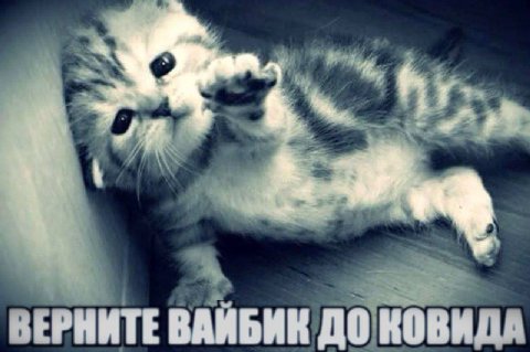 7 ВЕРНИТЕ ВАЙБИК ДО КОВИДА