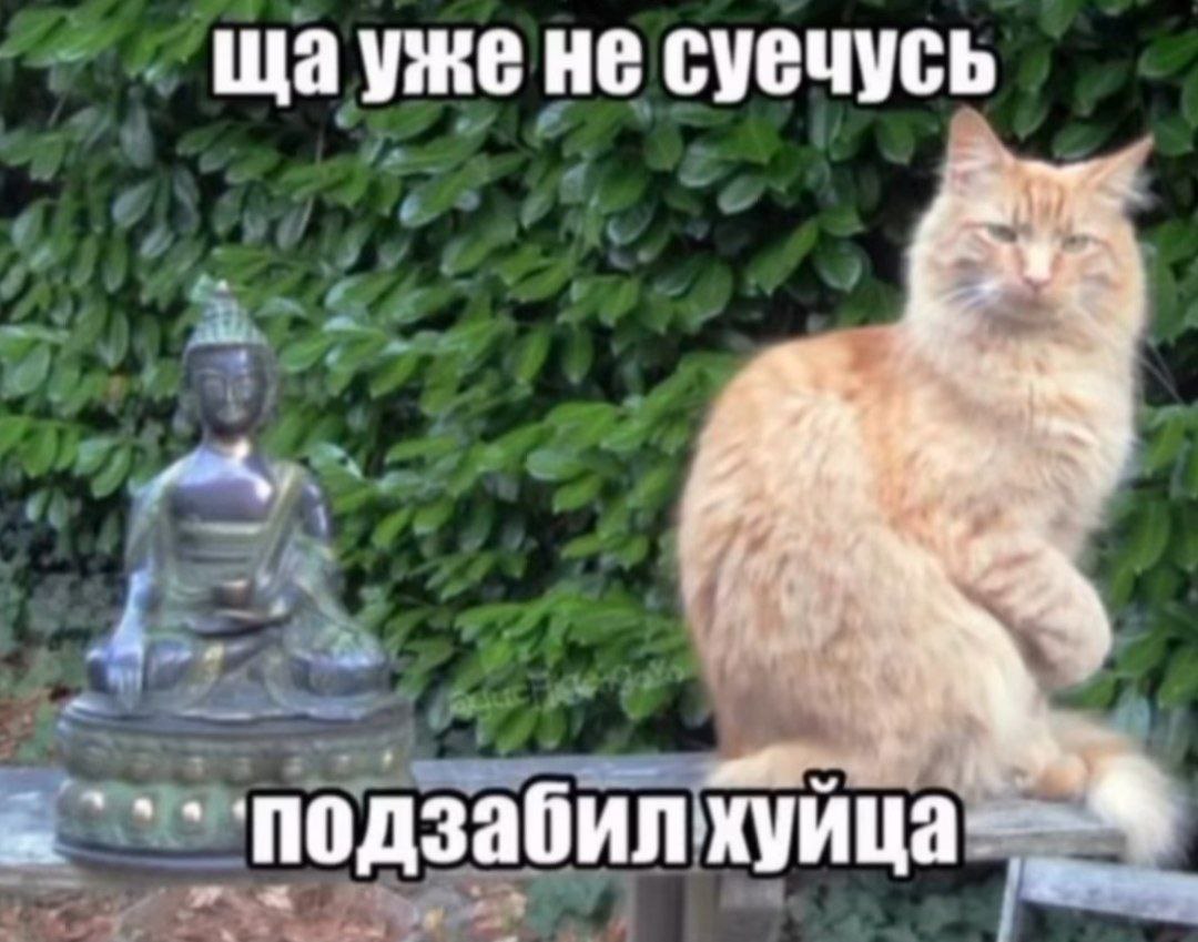 Щауже не суечусь у забил под хуица