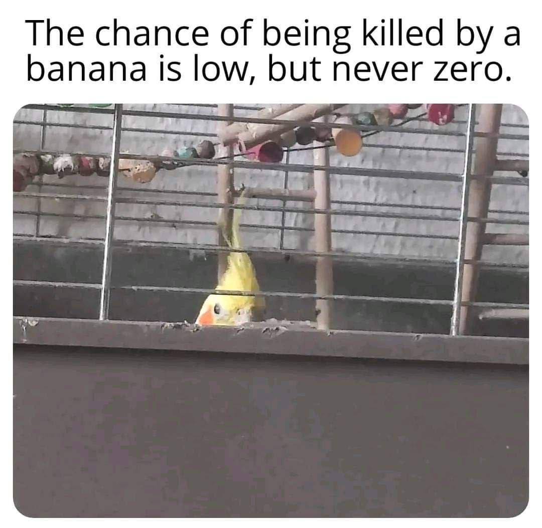 The chance of being killed a banana is low, but never zero. А