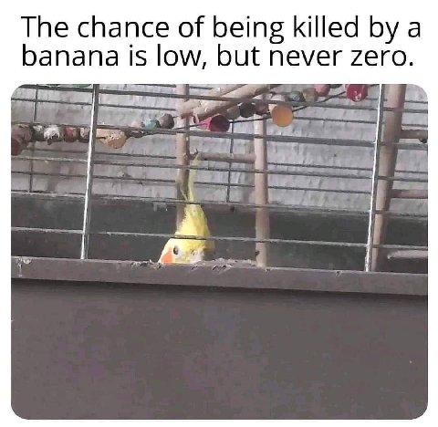 The chance of being killed a banana is low, but never zero. А