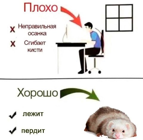 Плохо КИСТИ Хорошо лежит пердит
