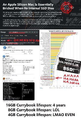 An Apple Silicon Мас Is Essentially Bricked When Its Internal SSD Dies All computers require a BIOS to start up the computer and allow the various hardware components to communicate with each other. O
