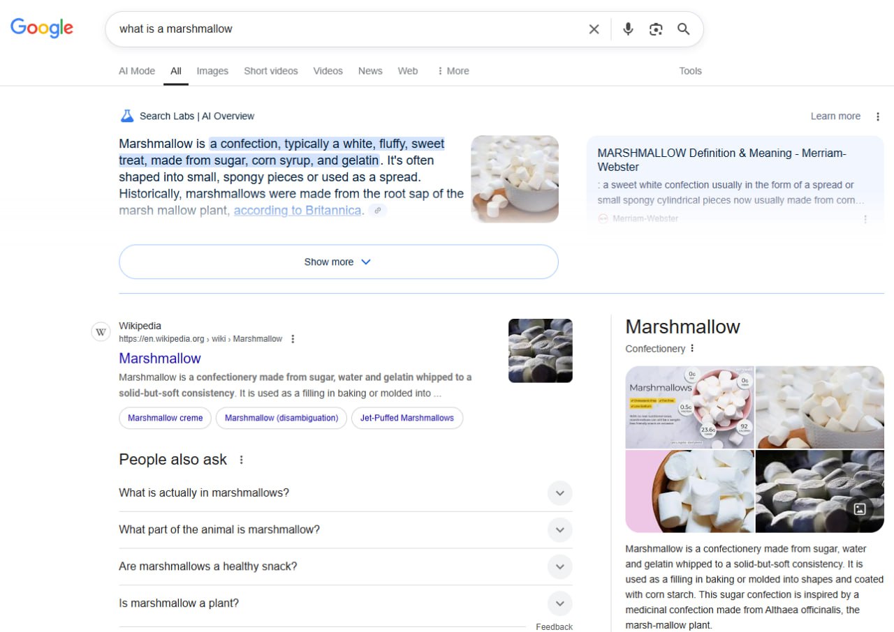 If you want to disable ads and AI summaries in Google, append -fuck to your search