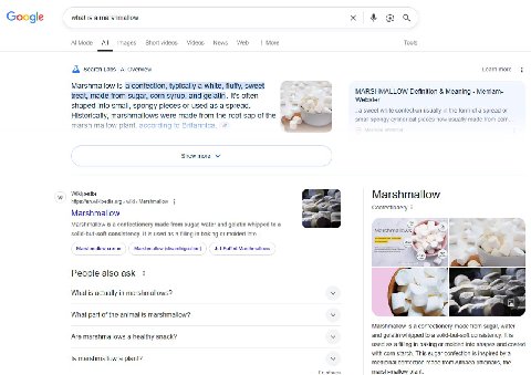 If you want to disable ads and AI summaries in Google, append -fuck to your search