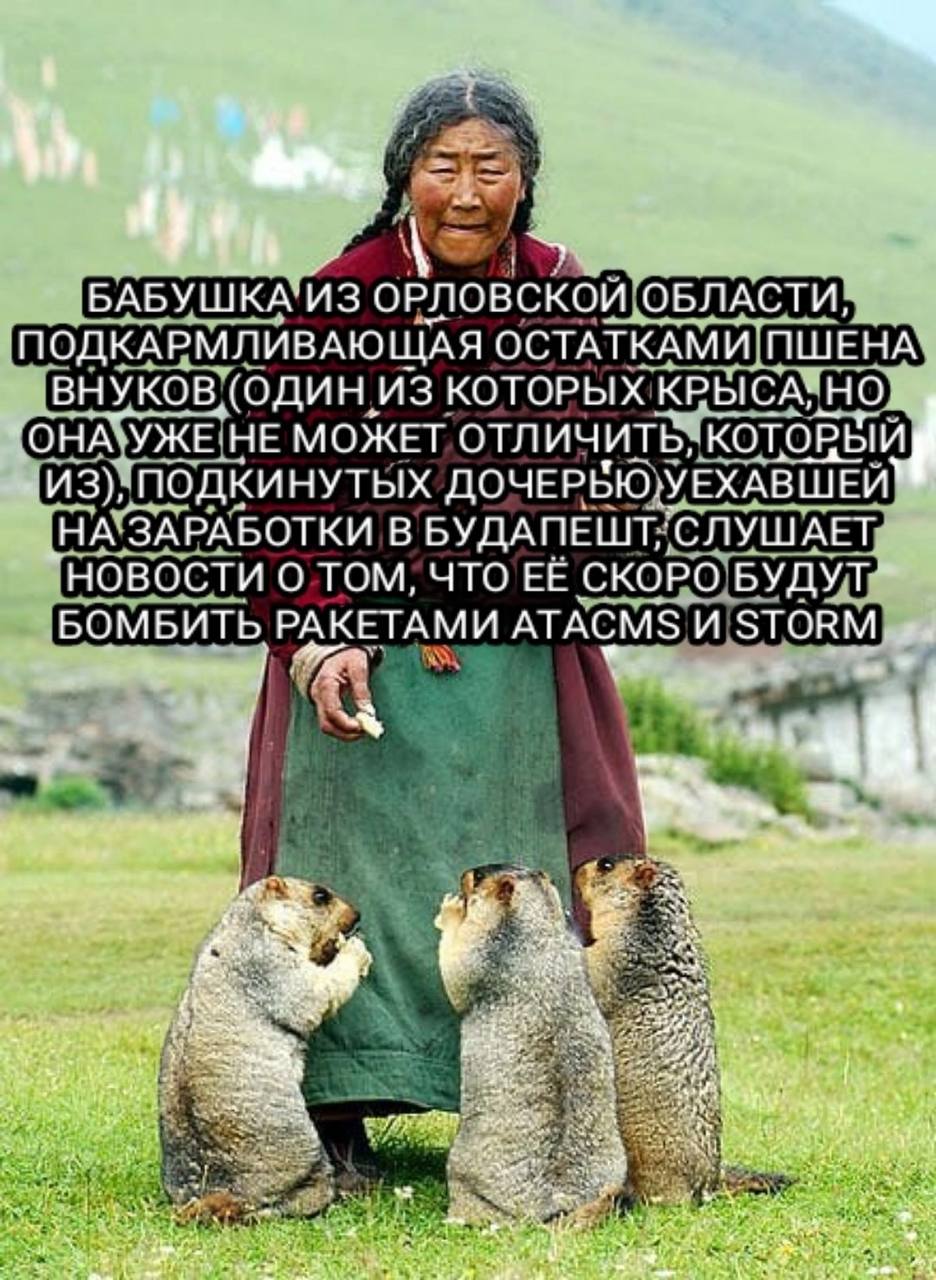 а БАБУШКА’ИЗ ОБЛАСТИ, ПОДКАРМЛИВАЮЩАЯ ОСТАТКАМИ ПШЕНА ВНУКОВ, (ОДИН ИЗ КОТОРЫХ КРЫСА; НО `ОНА УЖЕ НЕ МОЖЕТ ОТЛИЧИТЬ, ИЗ), ПОДКИНУТЫХ ДОЧЕРБЮ УЕХАВШЕЙ* ‚НА ЗАРАБОТКИ В НОВОСТИ О ТОМ, ЧТО ЕЕ СКОРО БОМБИ