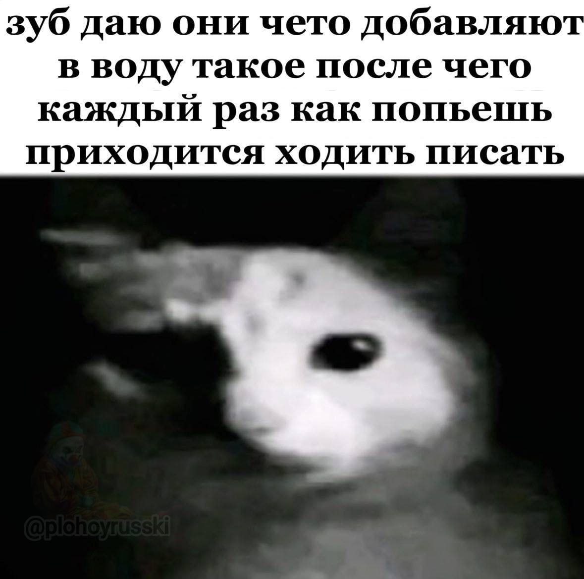 зуб даю они чето добавляют в воду такое после чего каждый раз как попьешь приходится ходить писать