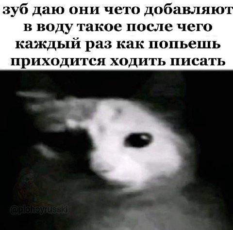 зуб даю они чето добавляют в воду такое после чего каждый раз как попьешь приходится ходить писать