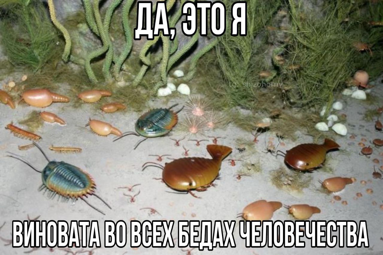 ДА, 310