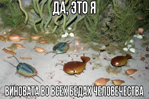 ДА, 310