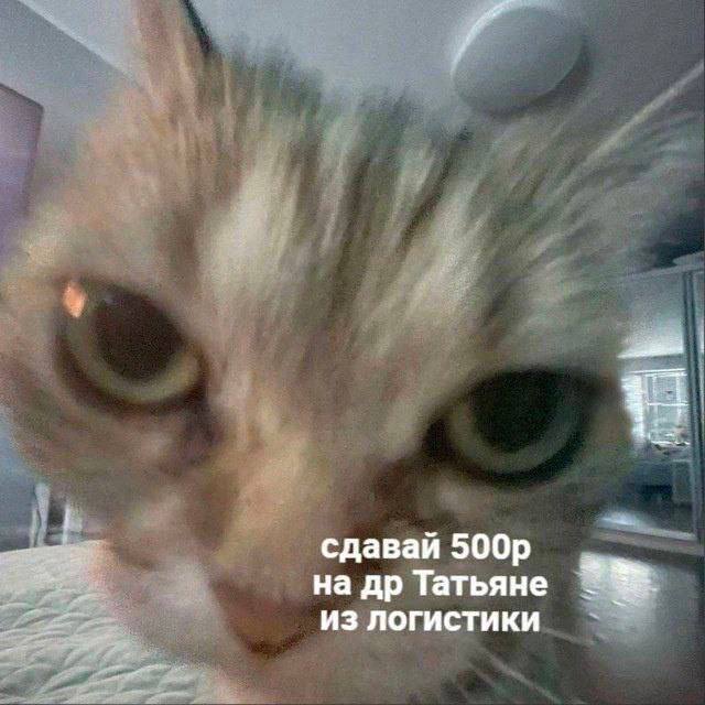 сдавай Татьяне из логистики