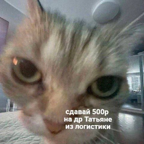 сдавай Татьяне из логистики